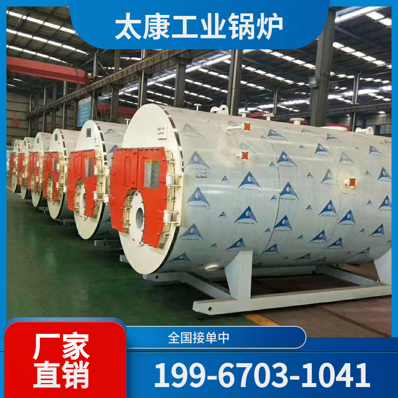 玉树全预混低氮锅炉