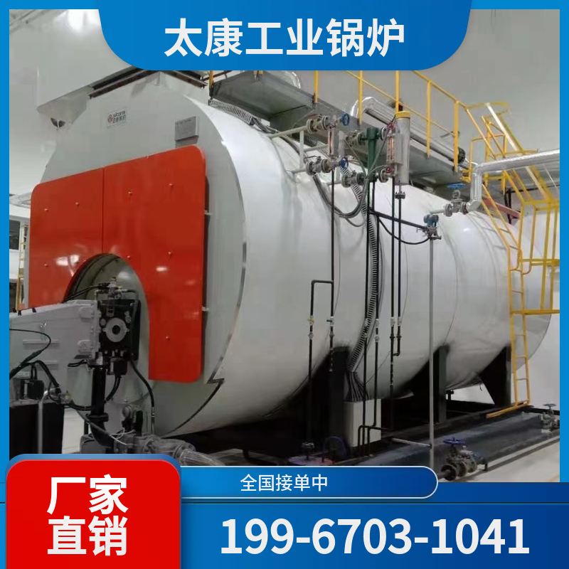 玉树低氮蒸汽锅炉