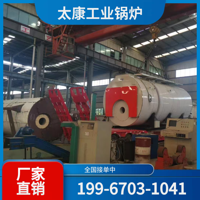 玉树低氮燃气锅炉